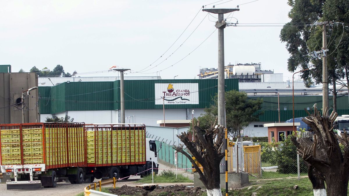 Imagen noticia completa