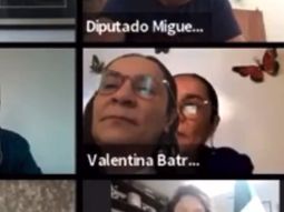 Valentina Batres Guadarrama puso una foto para silular su presencia en una sesión virtual