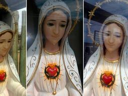 conmocion en un jardin: aparecio la imagen de una virgen que llora conmocion en un jardin: aparecio la imagen de una virgen que llora