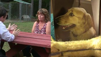 un perro murio calcinado en una secadora un perro murio calcinado en una secadora