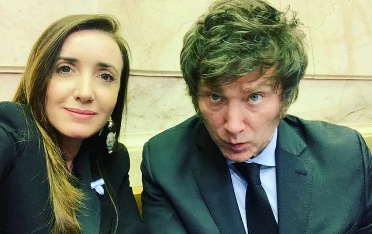 Milei y Villarruel votaron en contra por el ideario liberal