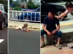 horror en plena calle: ato a su perro a una camioneta y lo arrastro hasta matarlo horror en plena calle: ato a su perro a una camioneta y lo arrastro hasta matarlo