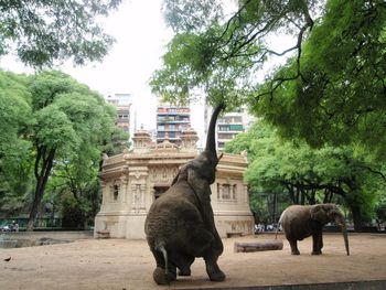 Se comienza a debatir el futuro del zoo porteño