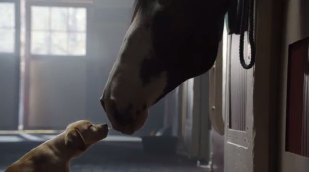 [VIDEO] El superclásico: la publicidad más tierna del Super Bowl