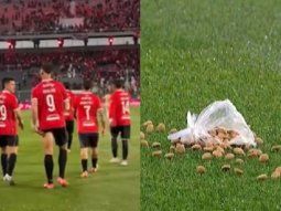 hinchas de independiente lanzaron comida para perros a los jugadores en el duelo con platense hinchas de independiente lanzaron comida para perros a los jugadores en el duelo con platense