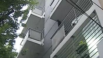 cayeron dos ladrones que robaban departamentos al estilo hombre arana cayeron dos ladrones que robaban departamentos al estilo hombre arana