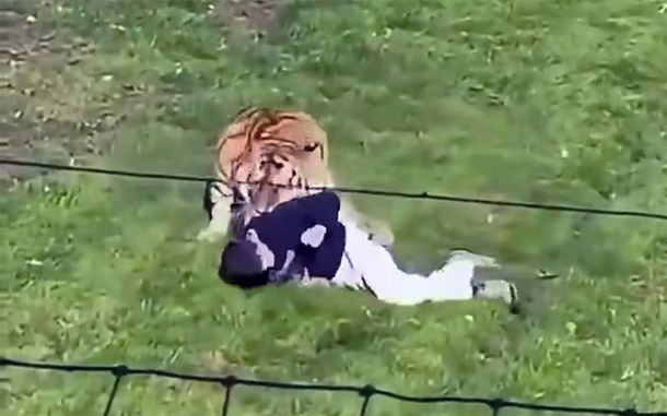 Captura de video.