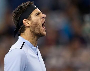 El desahogo de Del Potro