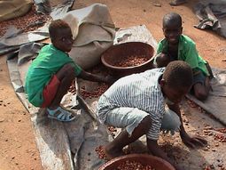 Foto Walk Free Foundation Foto Walk Free Foundation