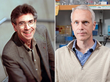 Premiaron a dos estadounidenses con el Nobel de Química