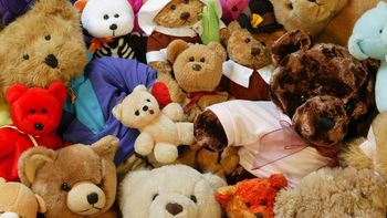 tres chicos rompieron una reja de un comercio y se robaron tres peluches tres chicos rompieron una reja de un comercio y se robaron tres peluches