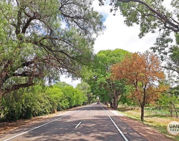 Encontraron a un hombre muerto al costado de la ruta en San Luis
