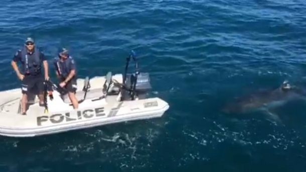 Los policías tuvieron una visita muy especial durante su ronda