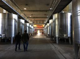 ¿Resistirá el próximo temblor?