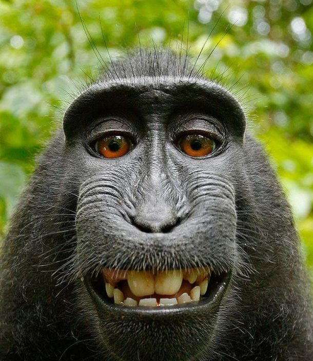Monono