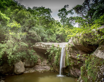 El destino en medio de la selva para ver animales, caminar y conectar con la naturaleza