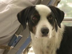 Foto: Gentileza de Telediario Digital.