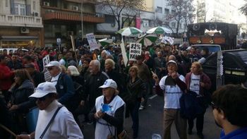 Foto: @ischargro Foto: @ischargro