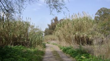 misterio por el cadaver hallado durante la busqueda de anahi benitez misterio por el cadaver hallado durante la busqueda de anahi benitez