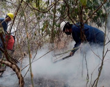 Incendios forestales: hay focos activos en Jujuy
