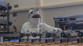 El interior de una de las plantas del Grupo Bimbo. El interior de una de las plantas del Grupo Bimbo.