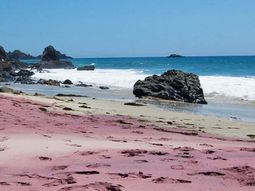 ¿Cuánto darías por pisar estas playas? ¿Cuánto darías por pisar estas playas?