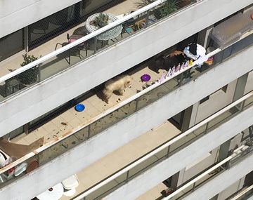 El balcón del departamento de More Rial