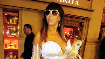 moria casan: mas filosa que nunca, hablo de todos moria casan: mas filosa que nunca, hablo de todos