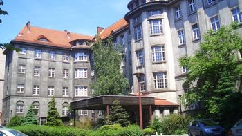 dio a luz tras 55 dias de muerte cerebral dio a luz tras 55 dias de muerte cerebral