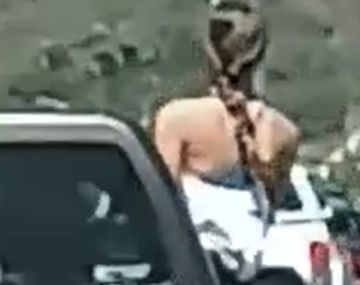 Imprudencia: filman a una mujer asomada por la ventana de una camioneta en la ruta