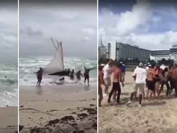 Un grupo de 12 balseros y su perra llegaron sanos y salvos a Miami desde Cuba