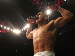 un 2014 historico para argentina y la ufc un 2014 historico para argentina y la ufc