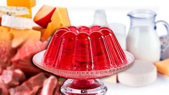 del manual vegano: ¿por que no pueden comer gelatina? del manual vegano: ¿por que no pueden comer gelatina?