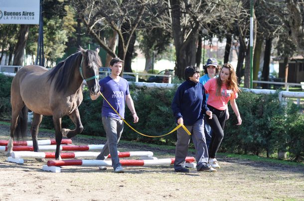 El caballo, ese amigo fiel en la rehabilitación de pacientes autistas