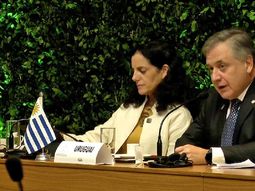 El canciller Omar Paganini insistió con la postura uruguaya de flexibilizar el Mercosur.visibility edit El canciller Omar Paganini insistió con la postura uruguaya de flexibilizar el Mercosur.visibility edit