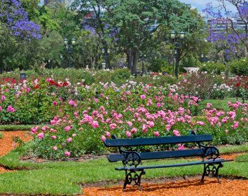 Cinco actividades gratis para hacer en Buenos Aires este fin de semana