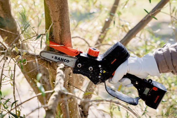 La empresa que cierra por la crisis económica vende motosierras, uno de los íconos del gobierno de Javier Milei La empresa que cierra por la crisis económica vende motosierras, uno de los íconos del gobierno de Javier Milei