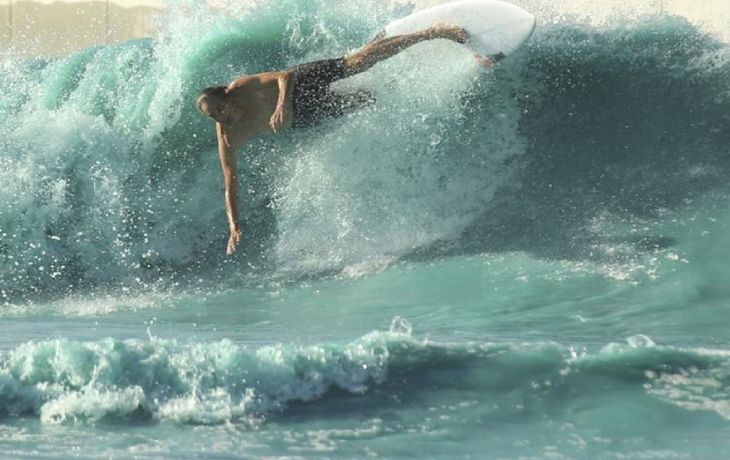 Ataque de la ameba come cerebro: un surfista murió tras sentir un fuerte dolor de cabeza