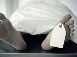 insolito: ingreso a la morgue de un hospital para tener sexo con un cadaver insolito: ingreso a la morgue de un hospital para tener sexo con un cadaver