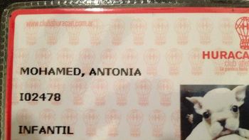 de no creer: antonia, la socia mas particular de huracan de no creer: antonia, la socia mas particular de huracan