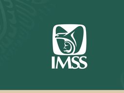 Checa lo que tiene para decir el IMSS. Checa lo que tiene para decir el IMSS.