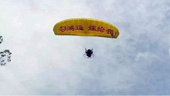 fue a pedir casamiento en un paracaidas, se estrello en un arbol y lo rechazaron fue a pedir casamiento en un paracaidas, se estrello en un arbol y lo rechazaron