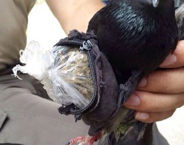 Gentileza portal esmitv.com