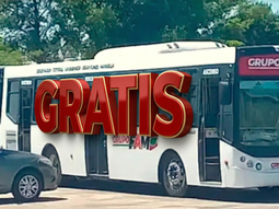 Colectivos gratis: dónde funcionarán sin costo y hasta cuándo rige la medida