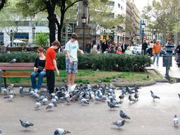 Domingo espectacular con temperaturas agradables