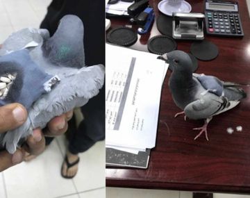 ¿Era necesario demorar al mensajero?