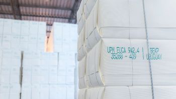 La producción industrial se recuperó en enero de la mano de la celulosa. La producción industrial se recuperó en enero de la mano de la celulosa.