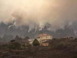 defeco, quemo el papel que uso y provoco un incendio de 3 mil hectareas defeco, quemo el papel que uso y provoco un incendio de 3 mil hectareas