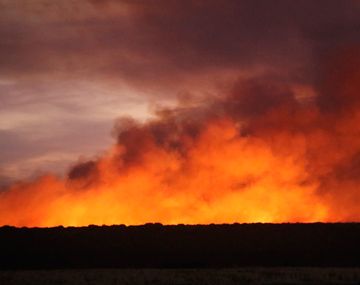 Incendios forestales en la Reserva Ecológica de Corrientes