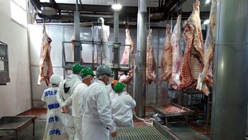 El endeudamiento de los frigoríficos con la banca creció de forma sostenida desde 2024. El endeudamiento de los frigoríficos con la banca creció de forma sostenida desde 2024.